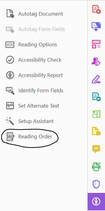 the reading order tool circled in the accessibility tools menu