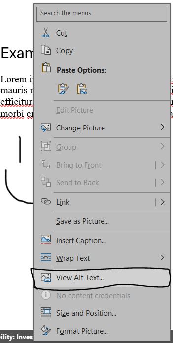 the right click menu on an image showing View Alt Text button